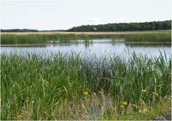 Prescribed Wetlands Amendments to The Water Rights Act in 2018 included a new provision for offsetting the loss or