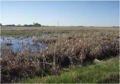 The proposed regulation would define Class 3, 4 and 5 wetlands as prescribed wetlands.