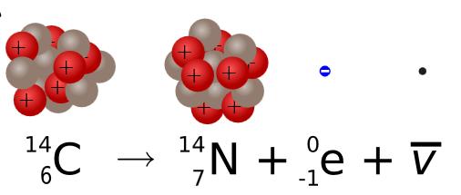 Carbon Radionuclide: β emitter T 1/2 = 5,730 years Weak beta emitters Long half-live