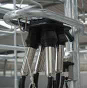protects the milking equipment Large walkway in front of cows High strength steel rollers Simple lubrication system Full circumference control and emergency