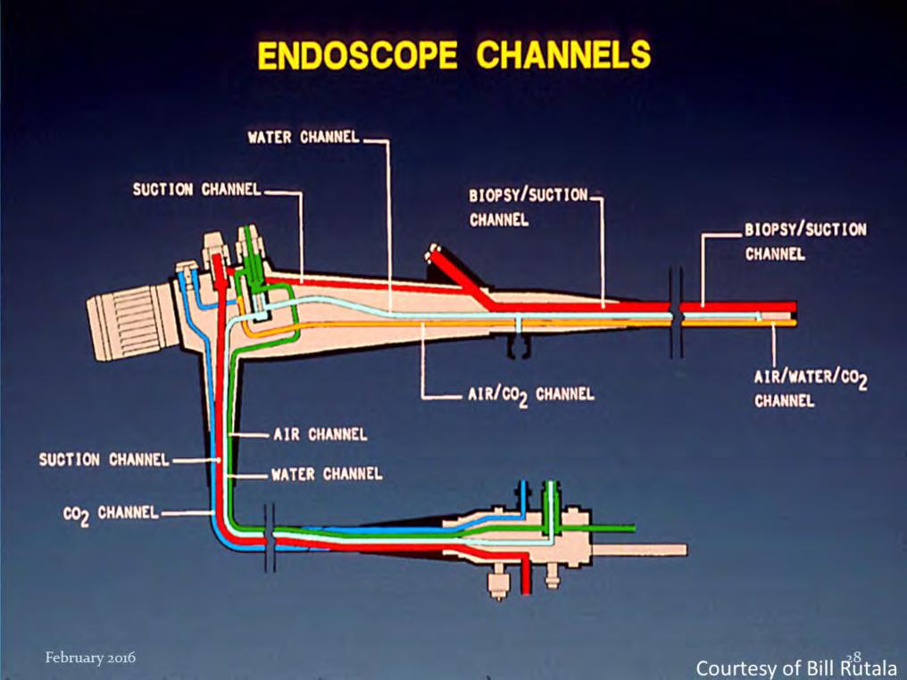 As you can see from this diagram, endoscopes are highly complex devices with many ports and lumens that become heavily contaminated during routine use.