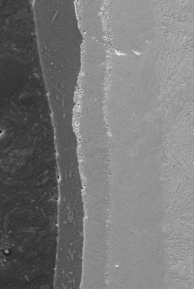 Microstructure Layer after conditioning (step 2) Mo-12.5Si-8.5B-27.