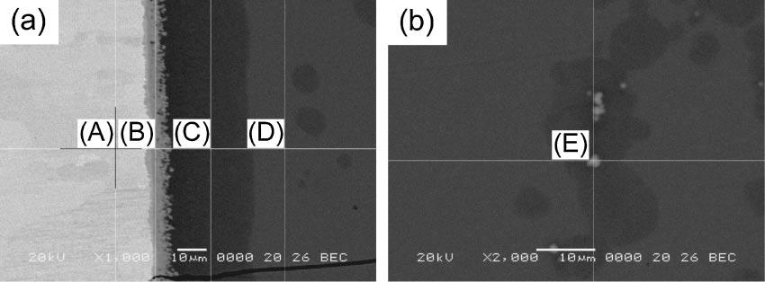 (b): optical micrograph of center part of the sample. Fig. 5 SEM composition images corresponding to the optical micrograph shown in Fig. 4(a).