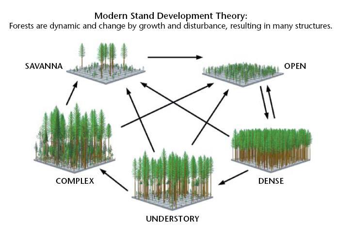 of people for a variety of values, products, and services Note: A healthy forest can have unhealthy and dead trees Silviculture starts with Forest understanding