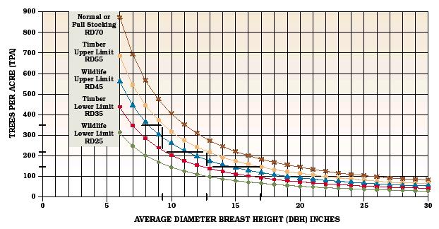Height/diameter ratio (thinning risk guide)