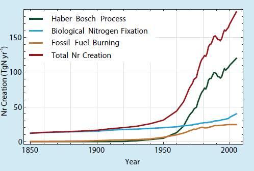 The production of reactive nitrogen (Nr) since the beginning of 20 th century has greatly increased Nitrogen is