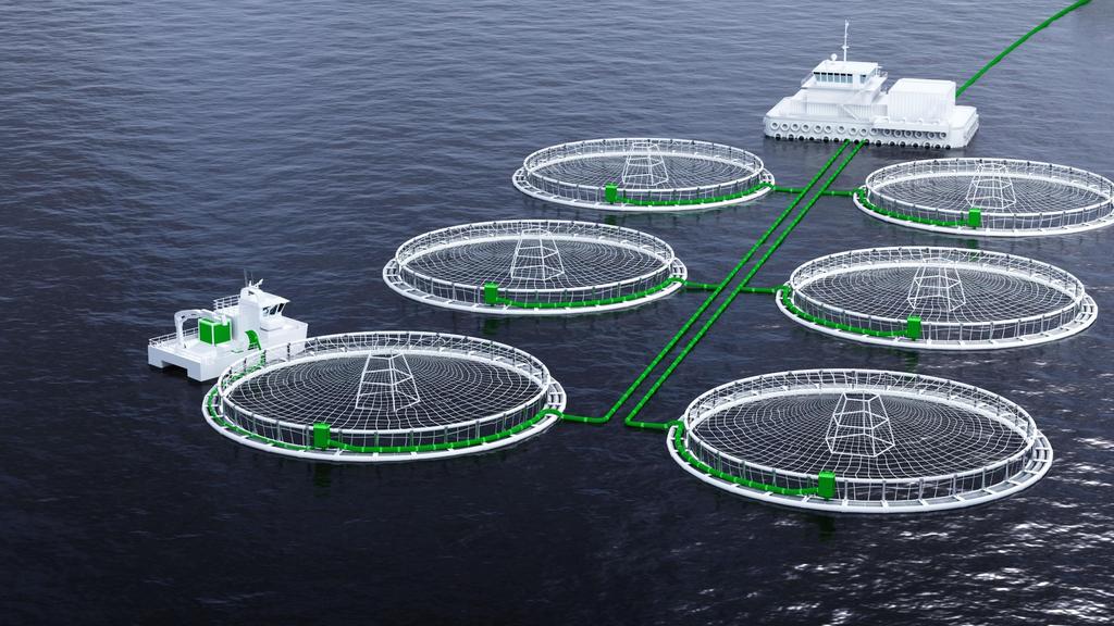 Salmon farming with shore power can reduce GHG emissions in the