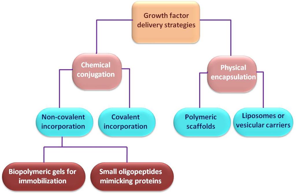 Fig 1: Various growth factor delivery strategies Chemical immobilization refers to the chemical conjugation, direct charge-charge binding, indirect binding via intermediate proteins or other