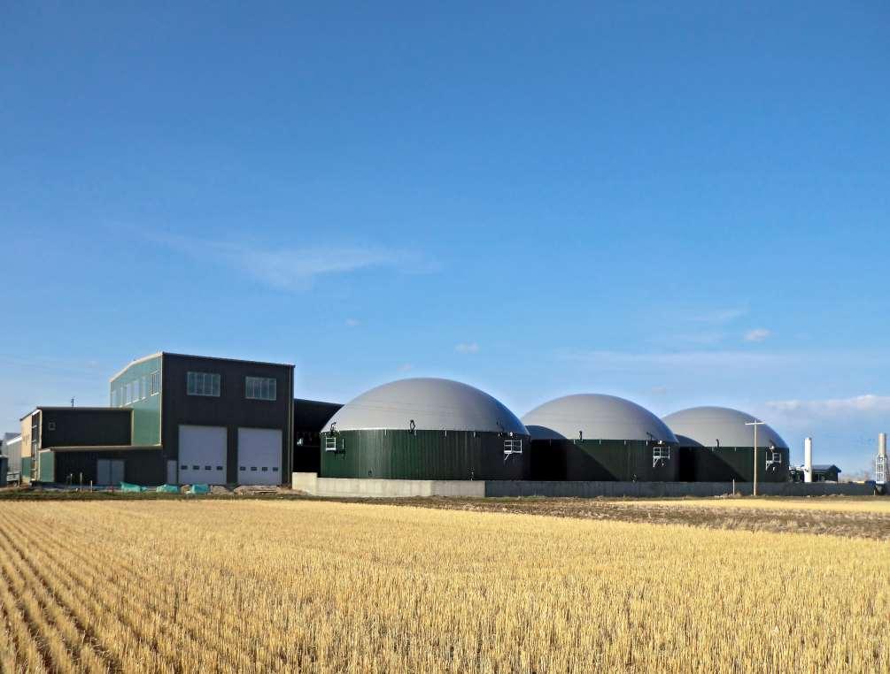 Example: Slaughterhouse waste Construction 2015 3 Digesters á 3,900 m³ CHP units 2.