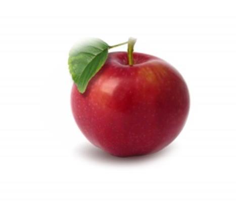 FRUIT TREES: Apple Peach Cherry +