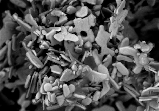 The SEM micrograph in Fig. 1 shows the overall grain size and delta phase precipitation in the heat treated alloy.