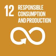 1 Source: Pilot reporting on SDG 12.1.1 featured in One Planet