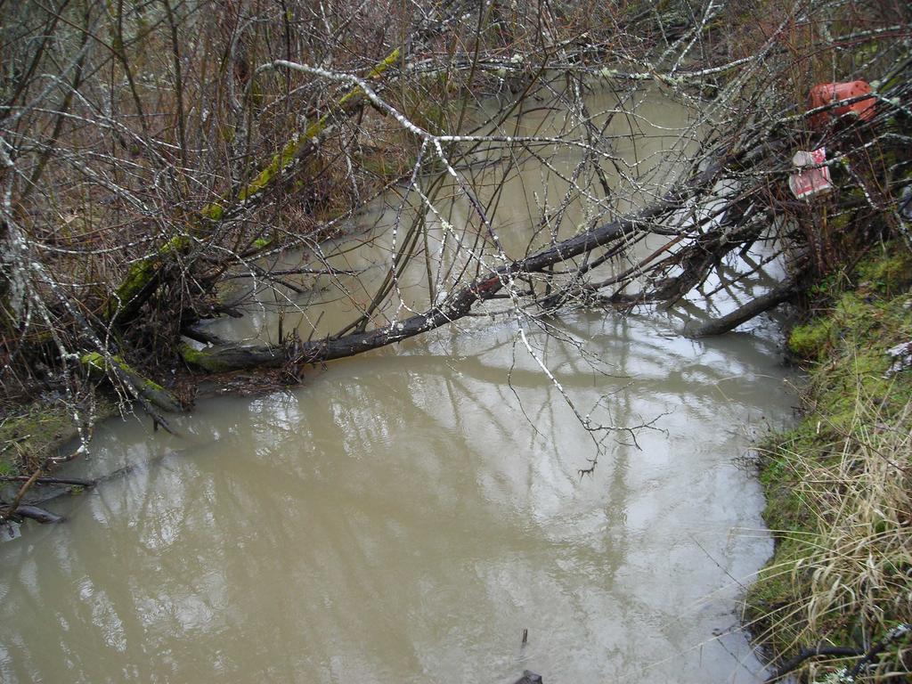 tributary with Dunawi Creek at 53rd Street Culvert Photo
