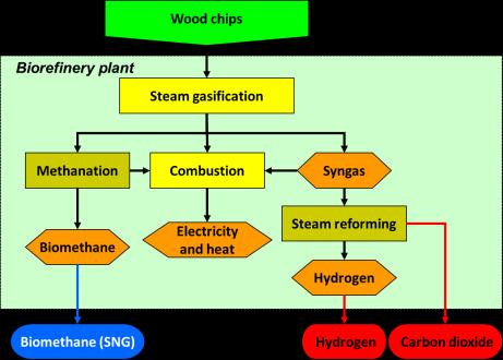 wood chips for FT-biofuels, electricity, heat and pulp (Figure 9) The state of technology and their commercialization is quite different for these concepts.