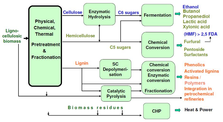 Lignocellulosic Biomass Biorefinery