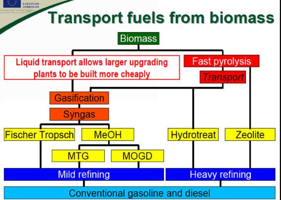 Transport fuels from biomass slide 19/26