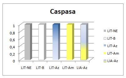 The expression levels of caspase-1 do not change in any of the experimental groups, or implanting intraocular yellow lenses.
