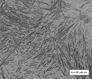 The microstructure after these quenching consists of plate martensite with a large volume fraction of retained austenite.