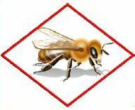 New Pollinator Protection Application Restrictions for Foliar Applied Neonicotinoids ENVIRONMENTAL HAZARDS APPLICATION RESTRICTIONS EXIST FOR THIS PRODUCT BECAUSE OF RISK TO BEES AND OTHER INSECT