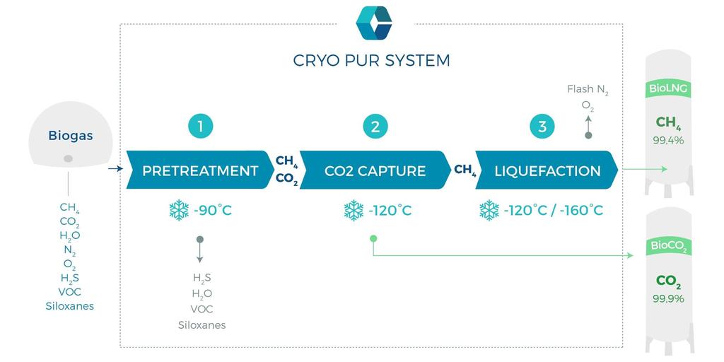 Cryo Pur is an integrated process for both