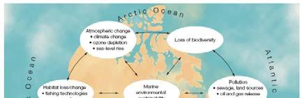 Atlantic Ocean Common Concerns Threats
