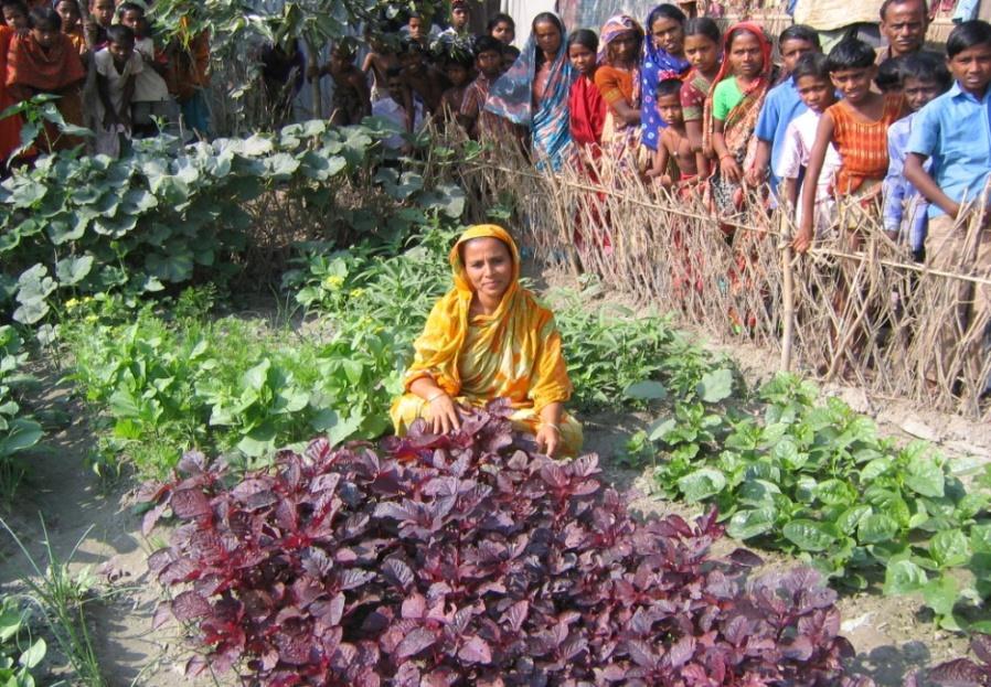 HKI s Homestead food production in Bangladesh Helen Keller International Integrating agriculture and at household and community level Program: Impact: : Production-focused: micronutrient-rich