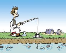 Take home messages Minimize soil disturbance Maintenance of habitat, water & food supply Increased OM Diversify crops - Increased biodiversity = reduced pests & disease - Increased