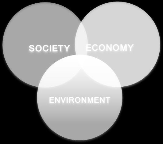 reporting. At a high level, these issues can be categorised under three pillars of sustainability: environment, society and economy.