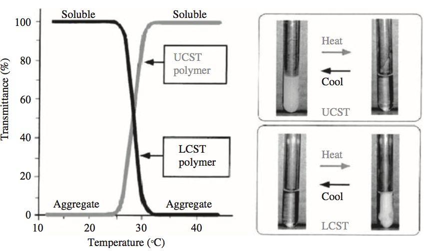 Polymers Property Change upon Temperature Change Upper critical
