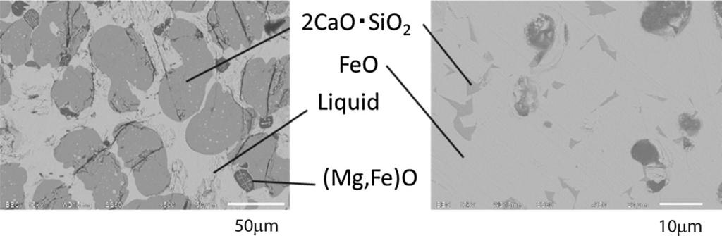 5 SEM image of residue after experiment using CaCO 3 absorber Table 2 Recovery ratio of P 2 O 5 and FeO Absorber Initial slag weight (g) Final slag weight (g) Recovery ratio (%) FeO P 2 O 5 CaO