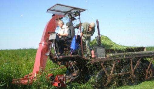 Harvest - Individual solutions Ratrak mowing