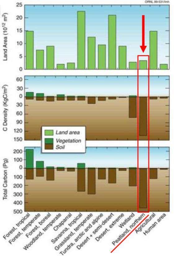 and long term storage of carbon in