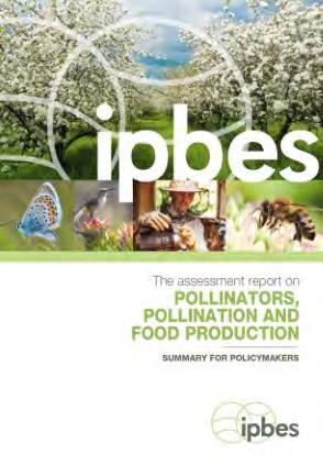 IPBES assesses the state of biodiversity and of the ecosystem services it provides to