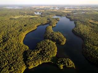 VISION Lithuanian forests a natural element of the Lithuanian landscape characterized by