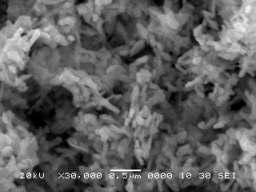 At some places the overgrowth of Cd and Te material. The direction of growth of nanocables in a vertical and horizontal direction and the average length of nanocables is 1 to 2 µm.