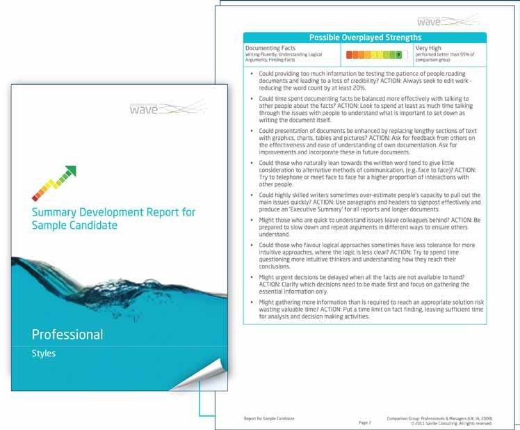 Saville Consulting Wave Development Reports
