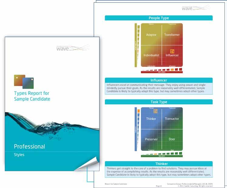 Saville Consulting Wave Types Report