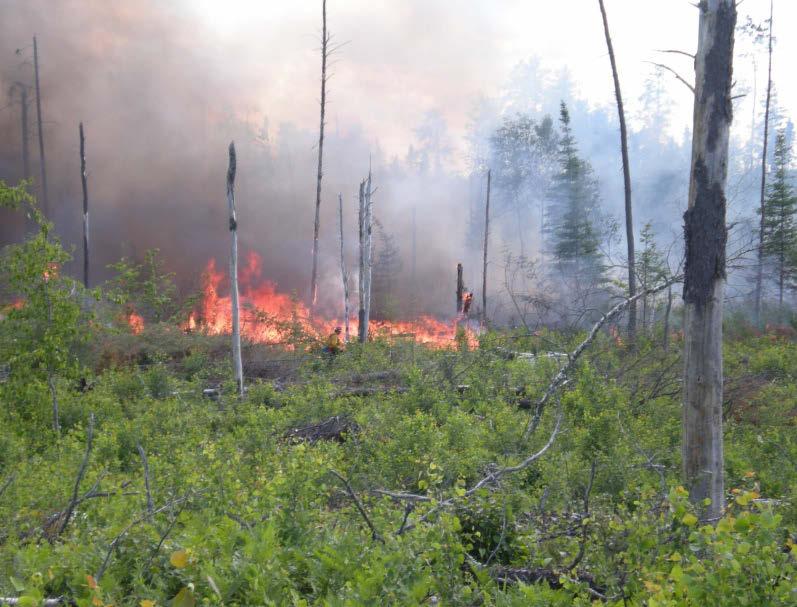 Site Preparation Broadcast Burn Prescribed burning activity where fire is applied generally to most or all of an area within well-defined boundaries for reduction of fuel hazard, as a resource