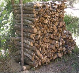 Fuelwood collection and Jhum