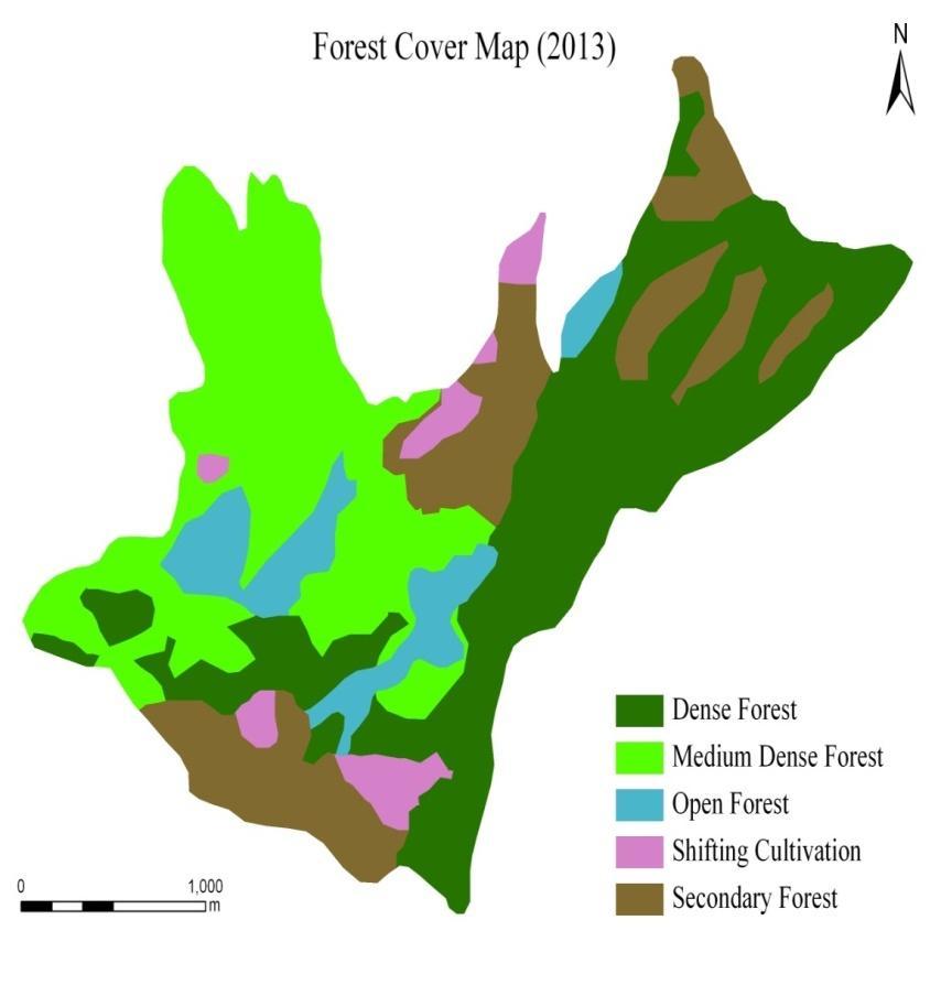 Forest cover change map