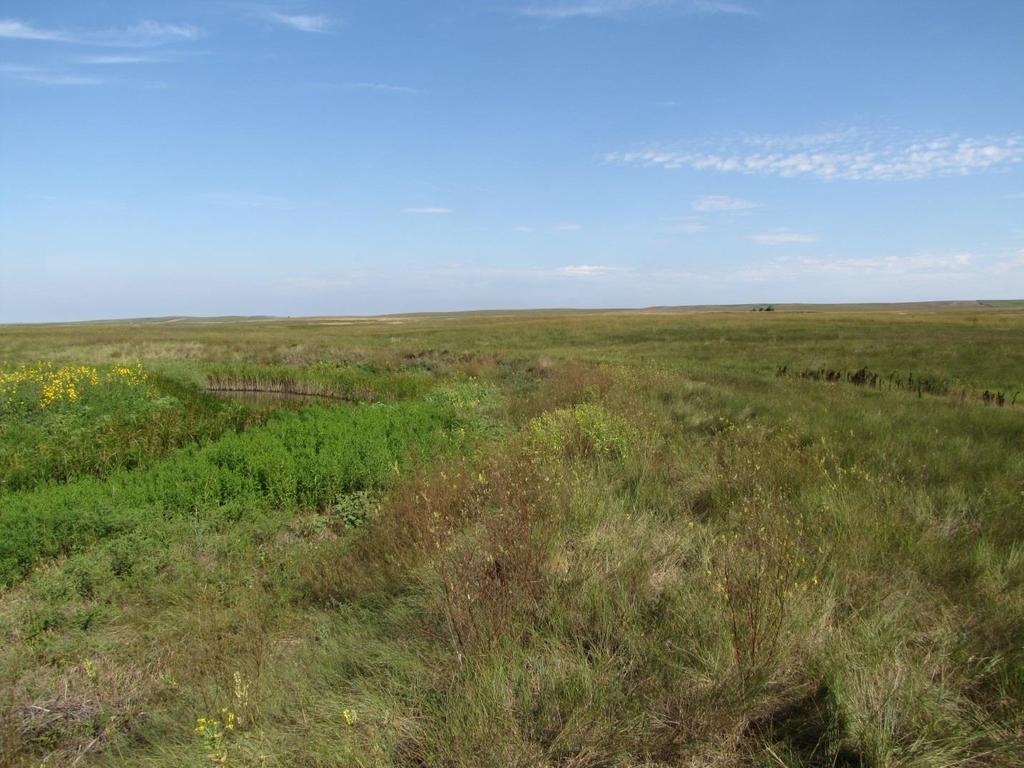 STONY BUTTE ASSESSMENT Fort Pierre National Grassland By Darrin