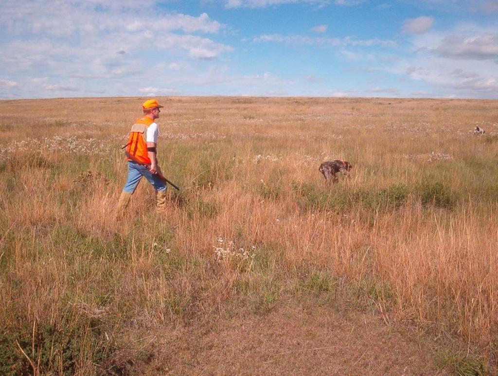 Total Number of Males Figure 34. Prairie grouse hunters on the Fort Pierre National Grassland. Photo courtesy of Paul Drayton. Figure 35.
