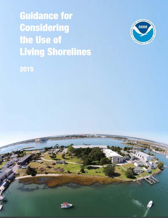 Guidance for installing a living shoreline?