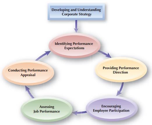 Components Of Performance