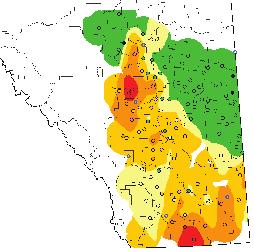 Pea Leaf Weevil Management Guide 8 Affected Areas First spotted in Alberta in 2000, pea leaf weevil is a serious pest in Southern Alberta and Southern Saskatchewan.