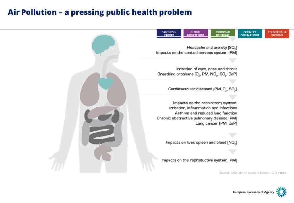 Why does it matter? Air pollution harms health in different ways. Air quality is a pressing issue in Europe today.