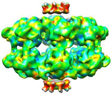 (E) ResMap-H2 analysis of the dimer of octamers map, showing the relative