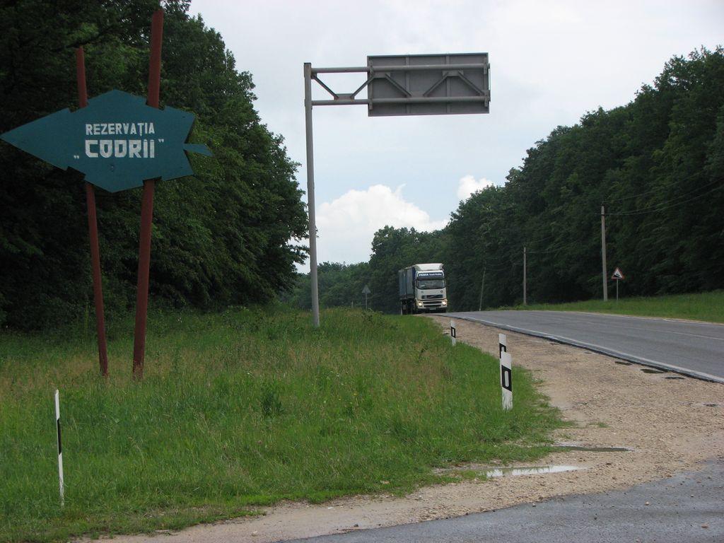 A pilot area in Moldova Codrii Forest