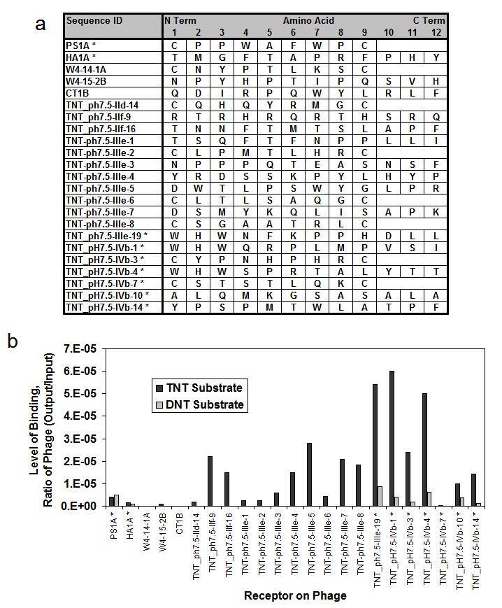 Supplementary Figure 4 Selectivity screening of phages identified against TNT The phages bearing receptors identified in Supplementary Figure-4a were amplified to a concentration of 10 6 pfu/ul.