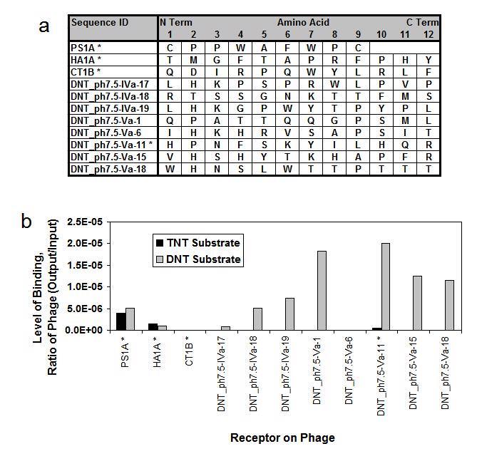 Supplementary Figure 5 Selectivity screening of phages identified against DNT The phages bearing receptors identified in Supplementary Figure-5a were amplified to a concentration of 10 6 pfu/ul.